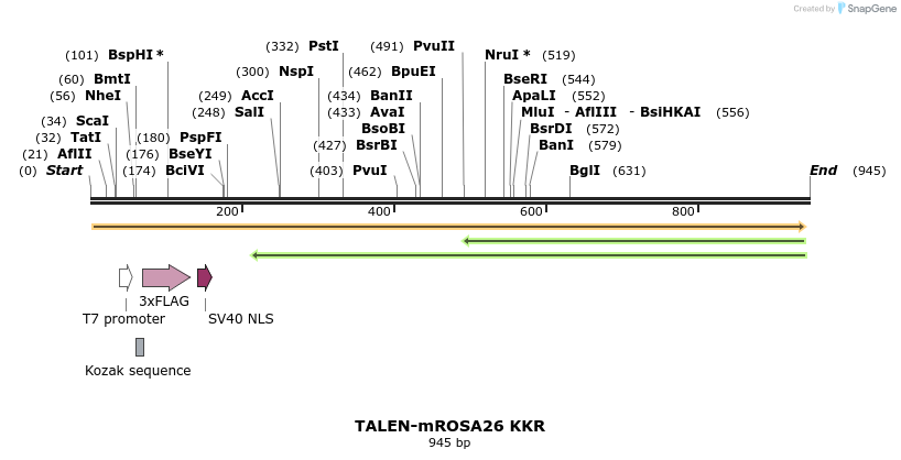100292_map