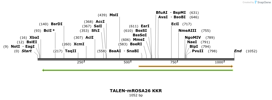 100294_map