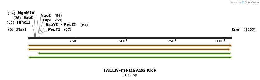 100295_map