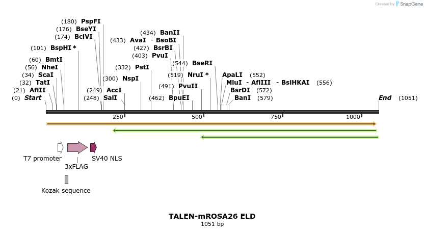 100297_map