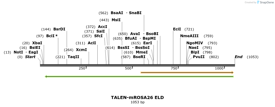100299_map