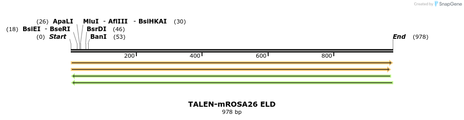 100304_map