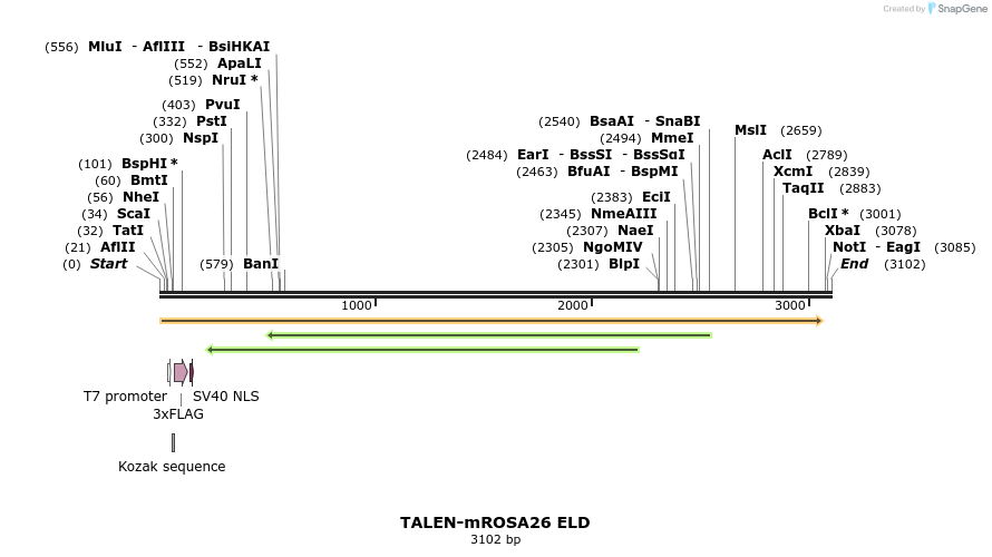 100305_map
