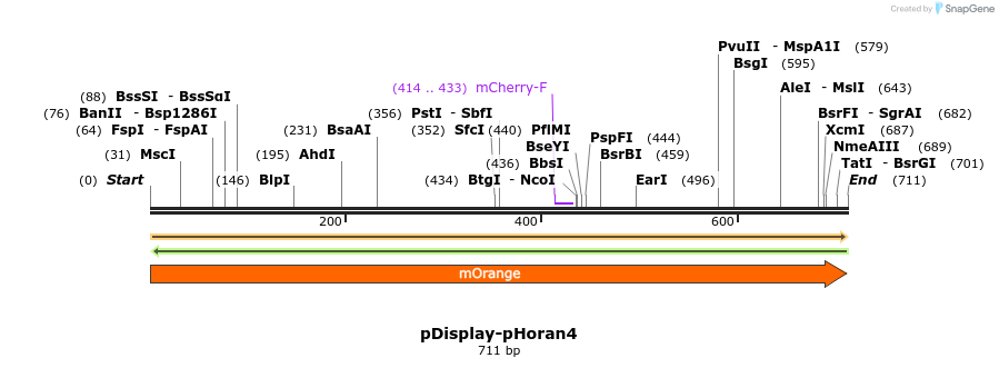 100315_map