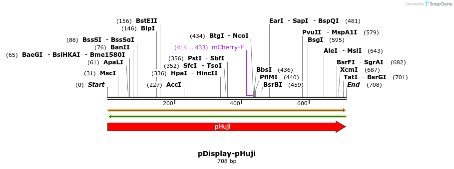 100316_map