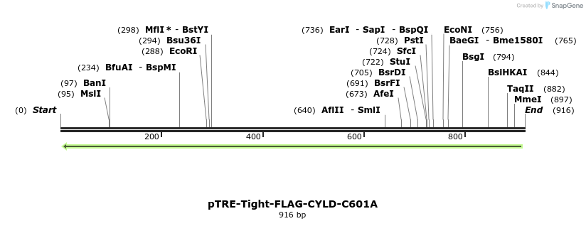 100324_map