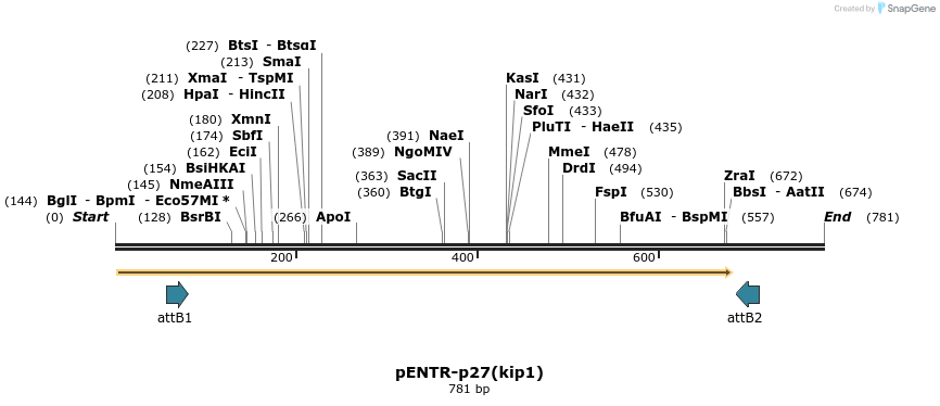 100333_map