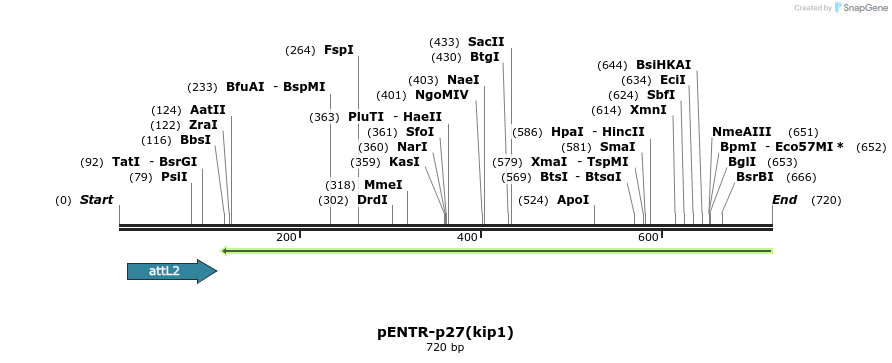 100334_map
