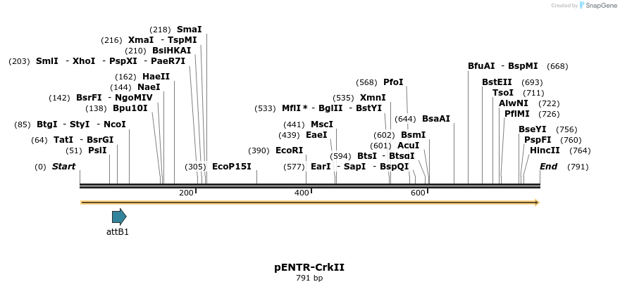 100337_map