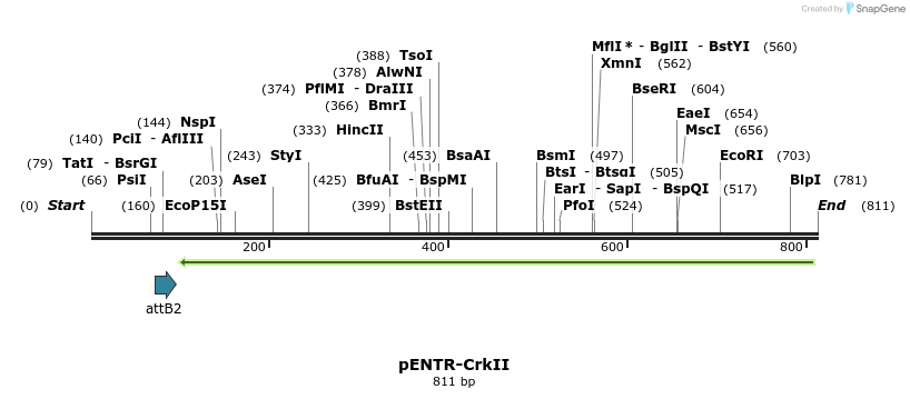 100338_map