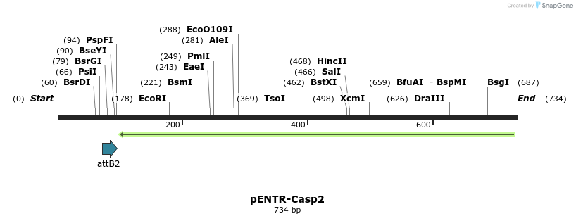 100340_map