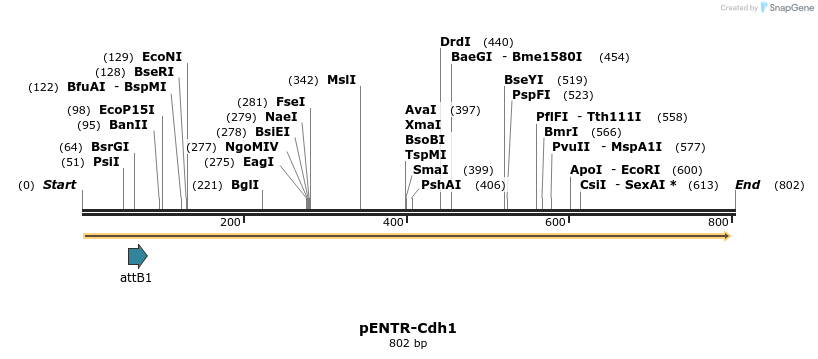 100341_map