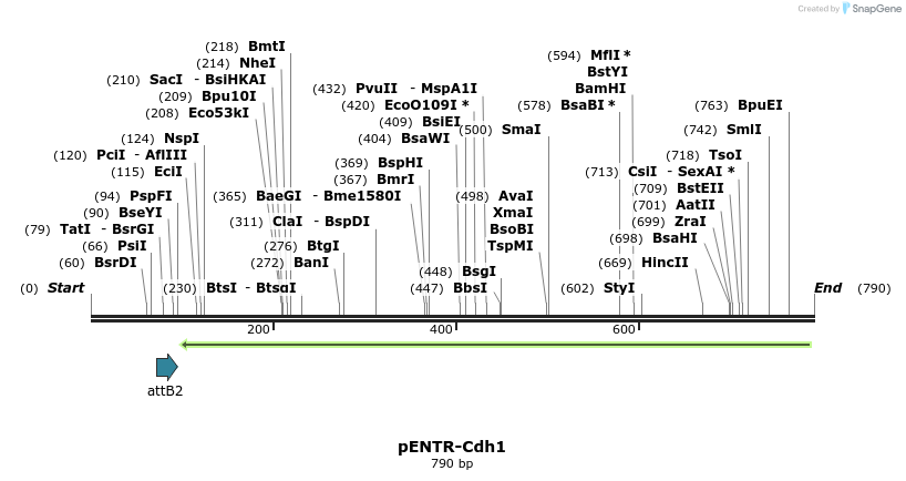 100343_map