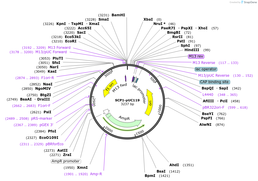 10035_map