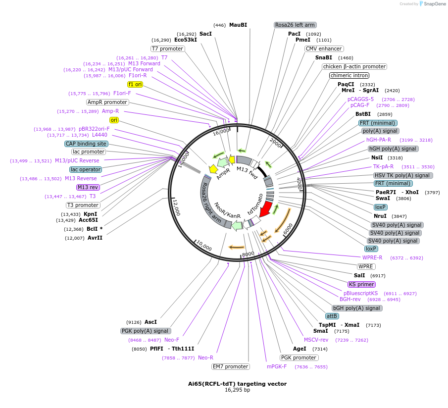 100360_map
