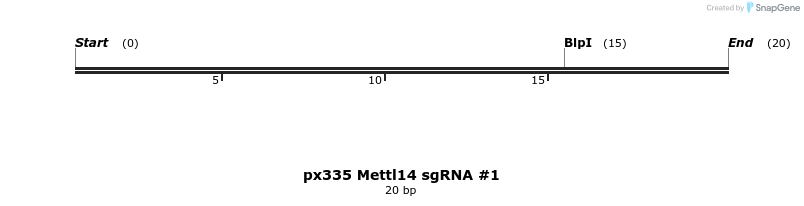 100366_map