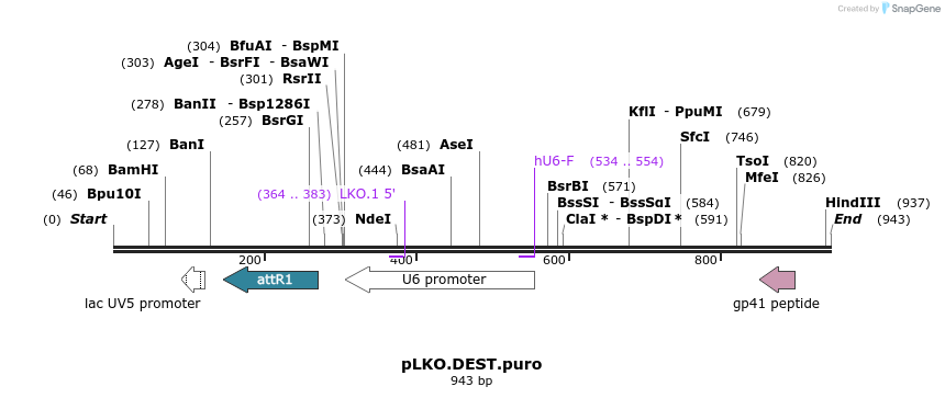 100375_map