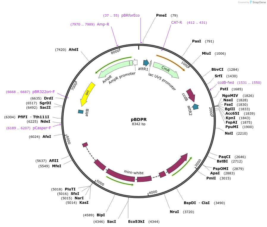 100394_map