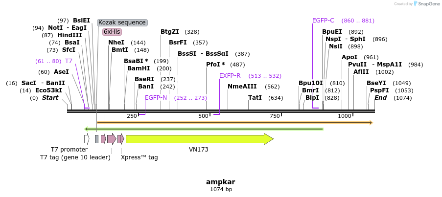 100398_map