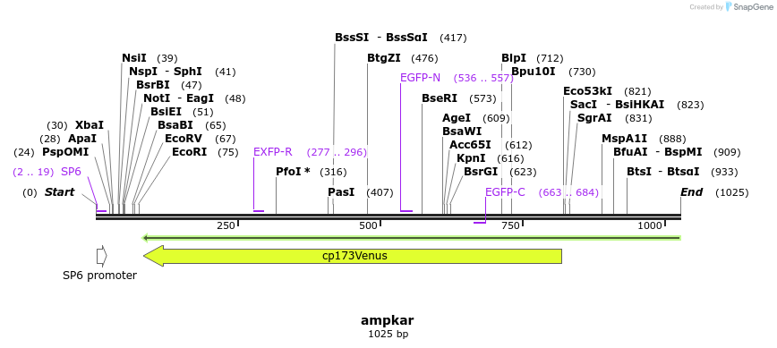 100400_map