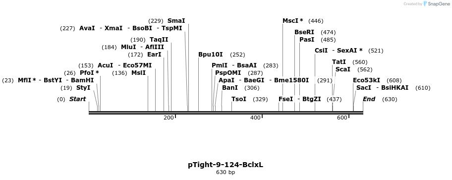 100401_map