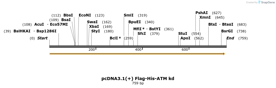 100406_map
