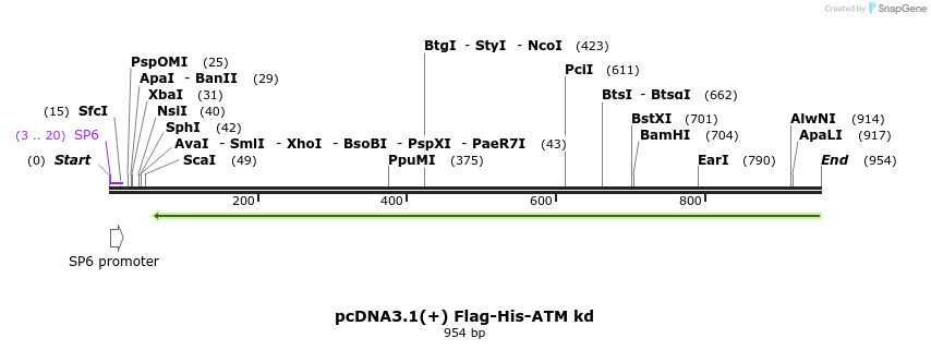 100407_map
