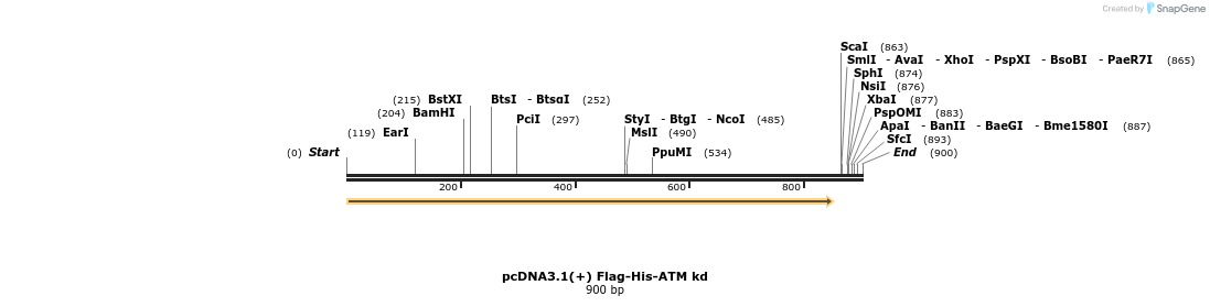 100409_map