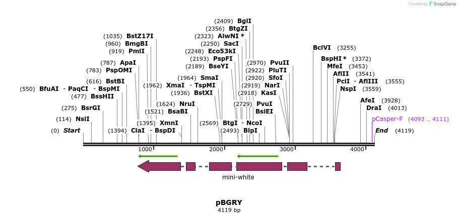 100411_map