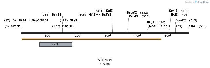 100427_map