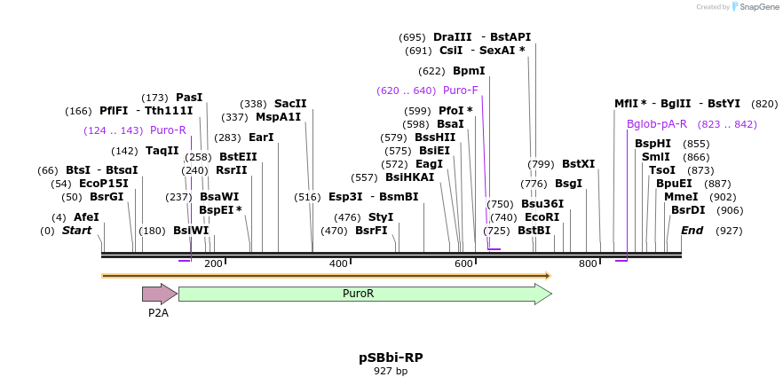 100459_map