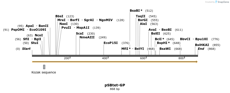 100464_map