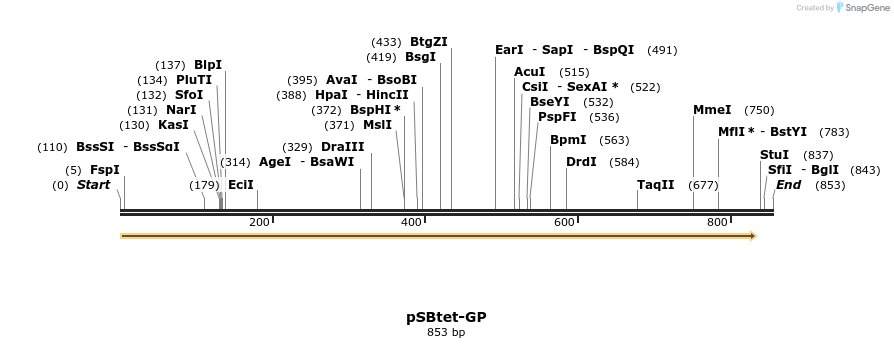 100465_map