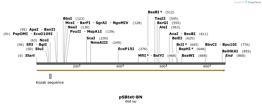 100473_map