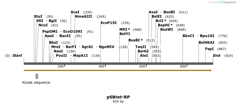 100479_map