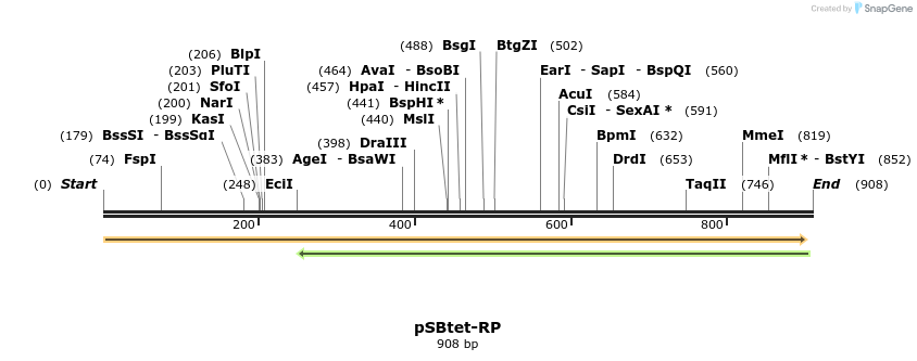 100481_map
