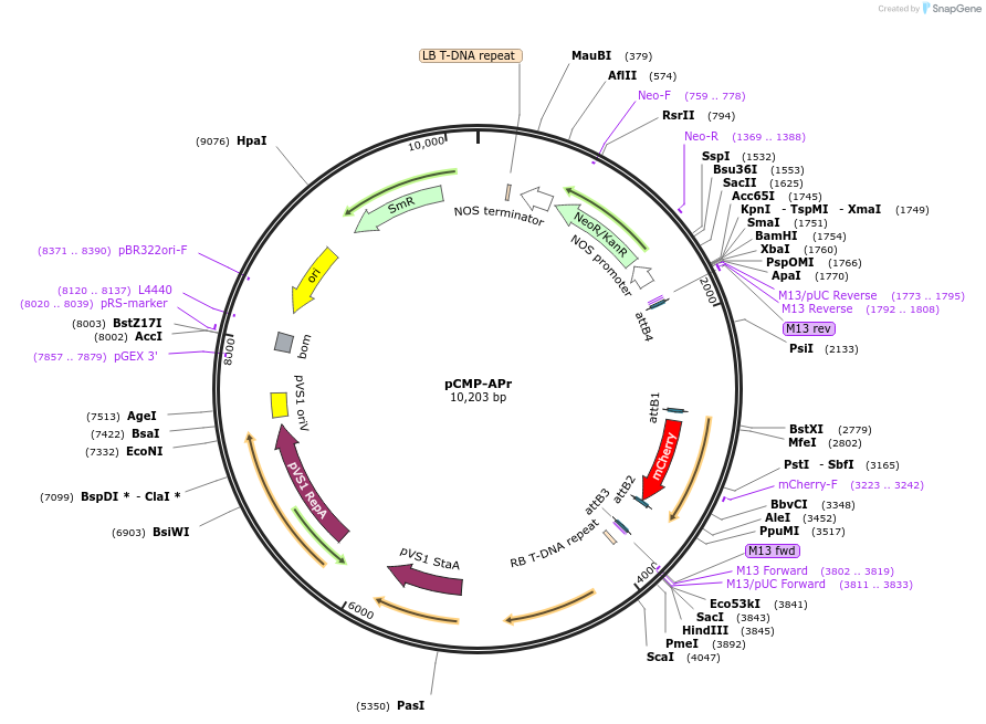 100490_map