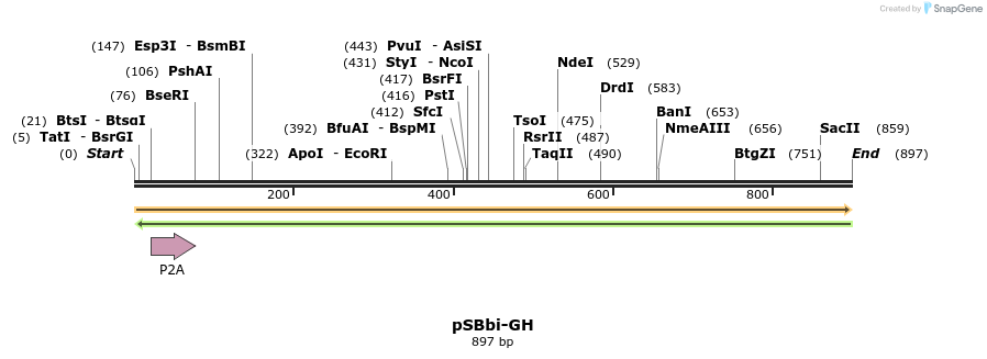 100500_map