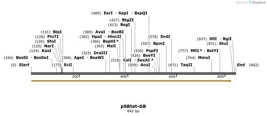 100506_map