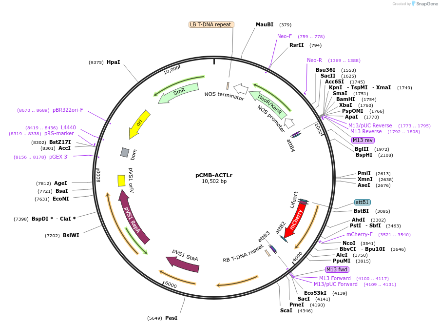 100507_map