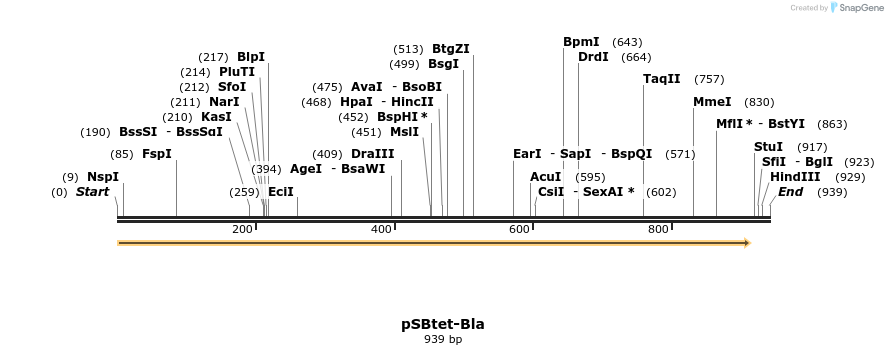 100536_map