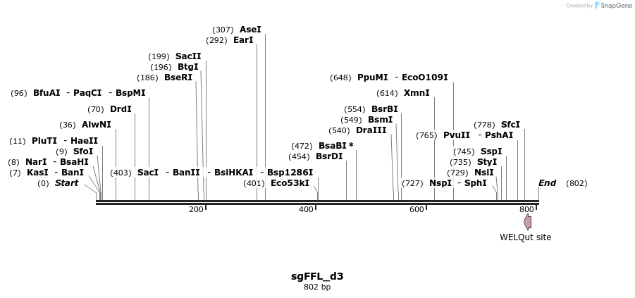 100555_map
