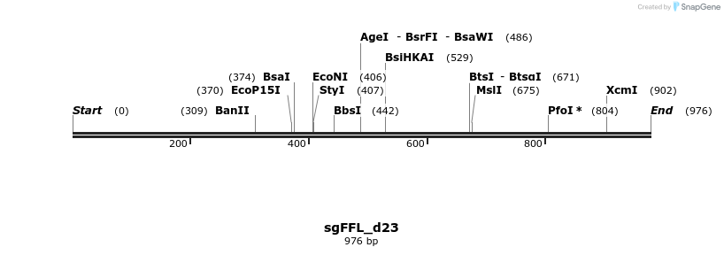 100558_map