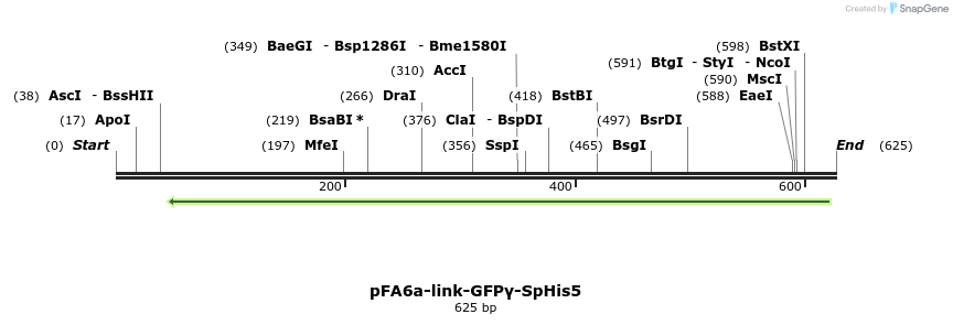 100561_map