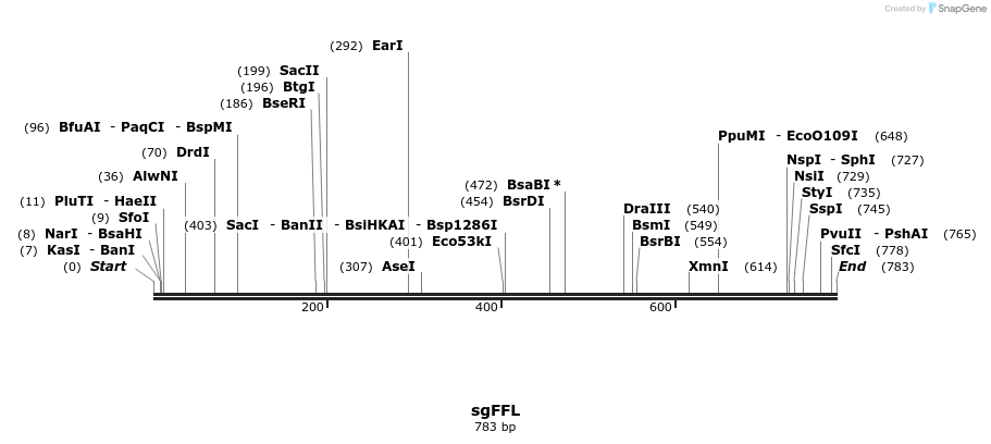 100564_map