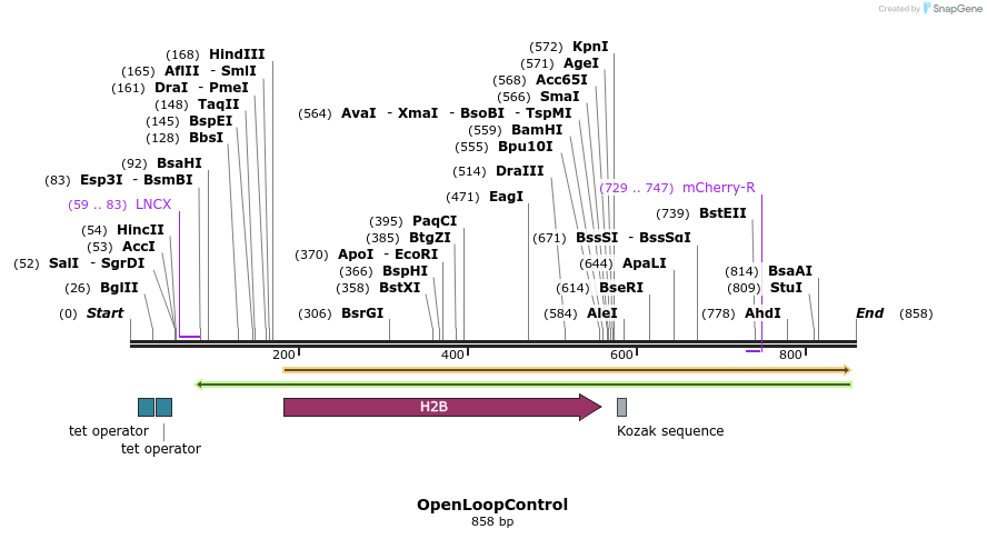 100565_map