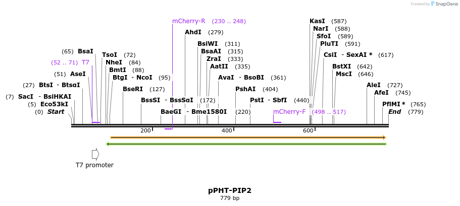 100572_map