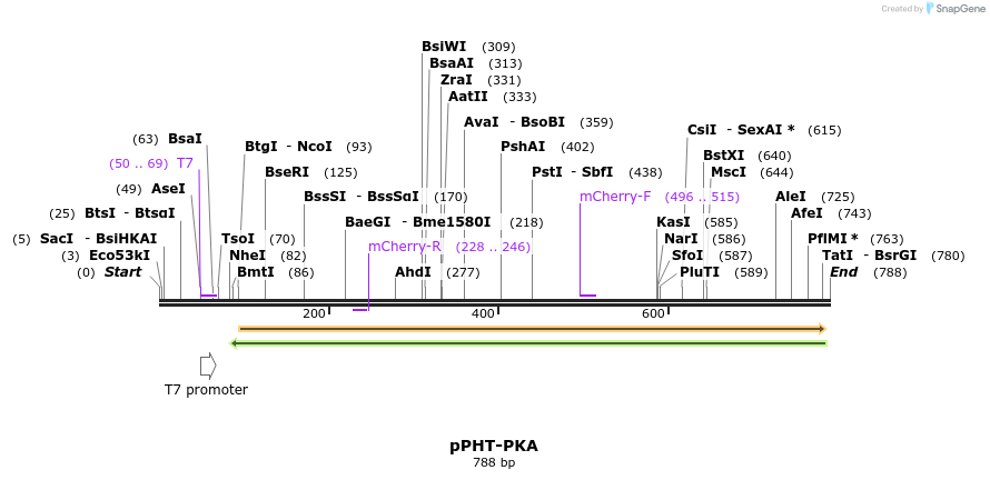 100573_map