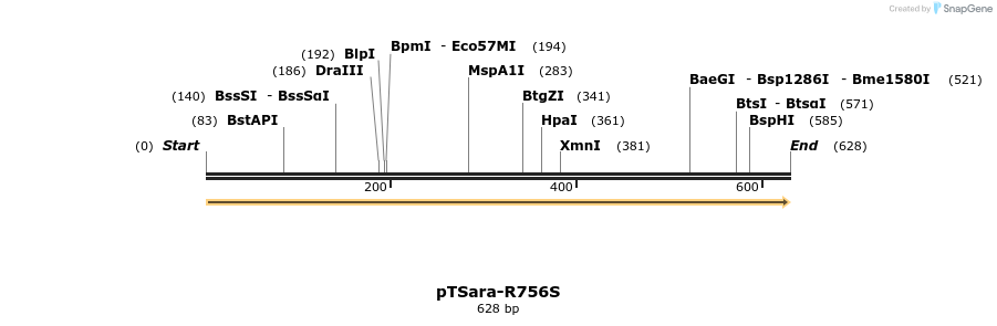 100583_map