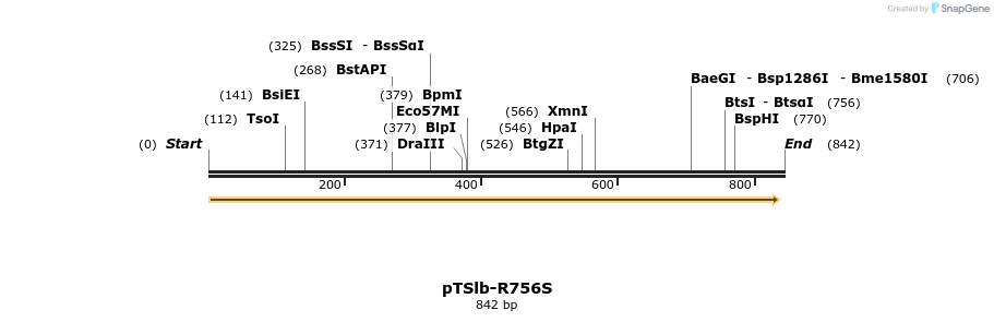 100587_map